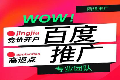 行业领先企业的SEM运营策略案例解析